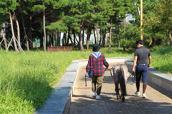 홀스테라피 프로그램 중 환우가 말과 함께 산책로를 거닐고 있다. [사진=부산경남경마공원]