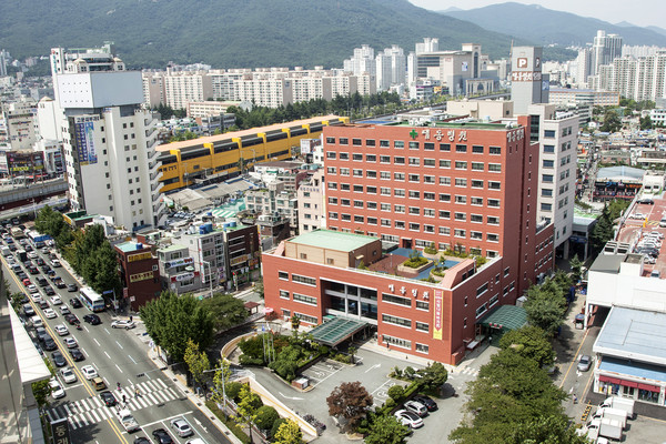 대동병원 전경. [사진=대동병원]